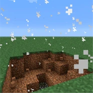 True Form Static Miss pose