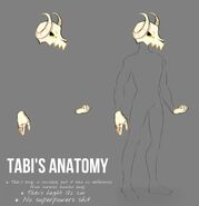 Tabi's anatomy.