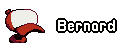 Bernard-pet-nameplate