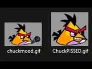 New-funkybirds-video