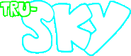 "TRU-SKY" text when selected.