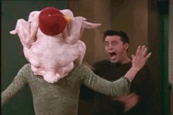 Joey turkey head.gif