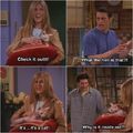 Friends funny-Rachel showing Ross & Joey her cat