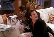 Clunkers, next to Chandler and Rachel