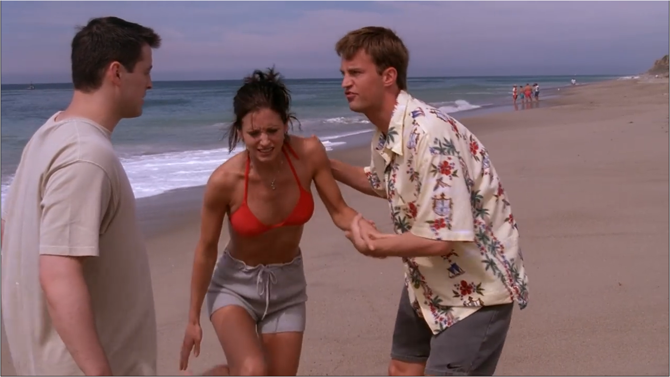 YARN, - Monica got stung by a jellyfish. - All right., Friends (1994) -  S04E01 The One With the Jellyfish, Video clips by quotes, 0129a0e3