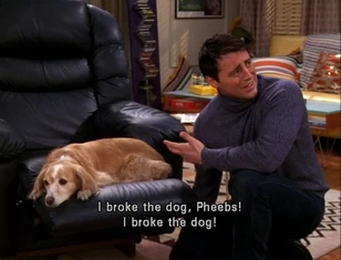 Mozzarella, after Joey made him depressed.