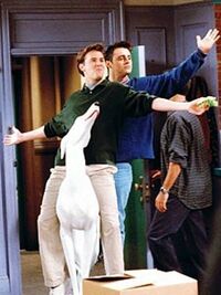 Joey and Chandler in "The One With The Embryos"