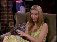 PhoebeandCat