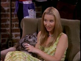 PhoebeandCat