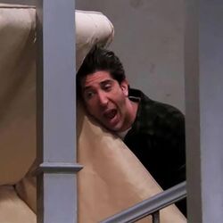 Ross-Pivot.jpeg