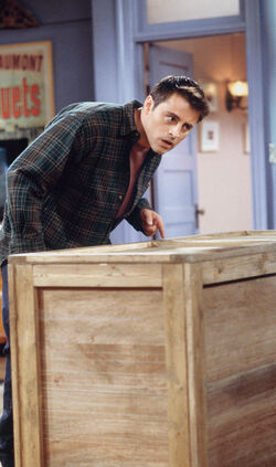 Joey.jpg