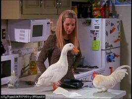 Phoebe-Buffay-Friends-tv-characters-5385946-768-576