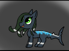 Emerald the Shark Filly