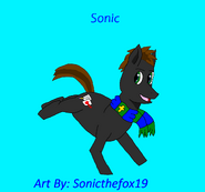 Sonic Ponysona
