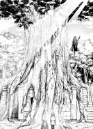 A huge tree over Flamme's dwelling that started as a sapling protected with magic.