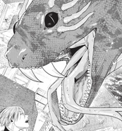 Himmel fights a serpent in the Bohne Village.