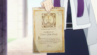 Fern's mage certificate EP11