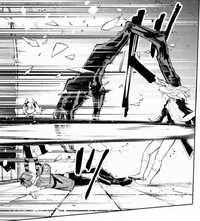 Fern attacks Lügner CH17