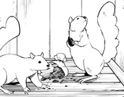 Seed rats CH3