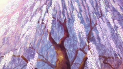 Icicle Cherry Blossom Tree EP17