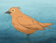 The Stille, a meteoric iron bird.