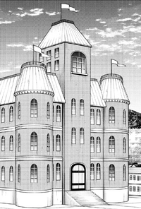 Norm Company Estate CH70