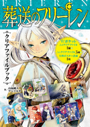 Clear File Book.