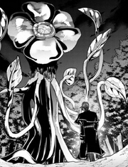 Chaos Flower CH31