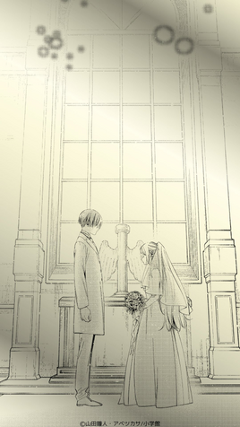 Clean Cover
