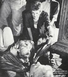 Fright Night 1985 Vampire Bat Mark Wilson Randy Cook Roddy McDowall