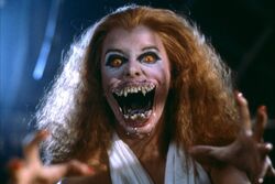 Fright Night - Wikipedia