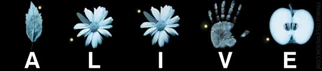Alive