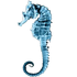 Seahorse