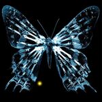 600px-ButterflyGlyph.jpg