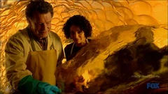 Fringe-walter-astrid-gene