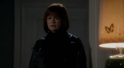 Бабочка в квартире Оливии