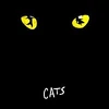 200px-Catsmusical1980