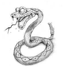 Rattlesnake sketch design.jpg