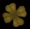 Clover