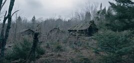 Log Cabins