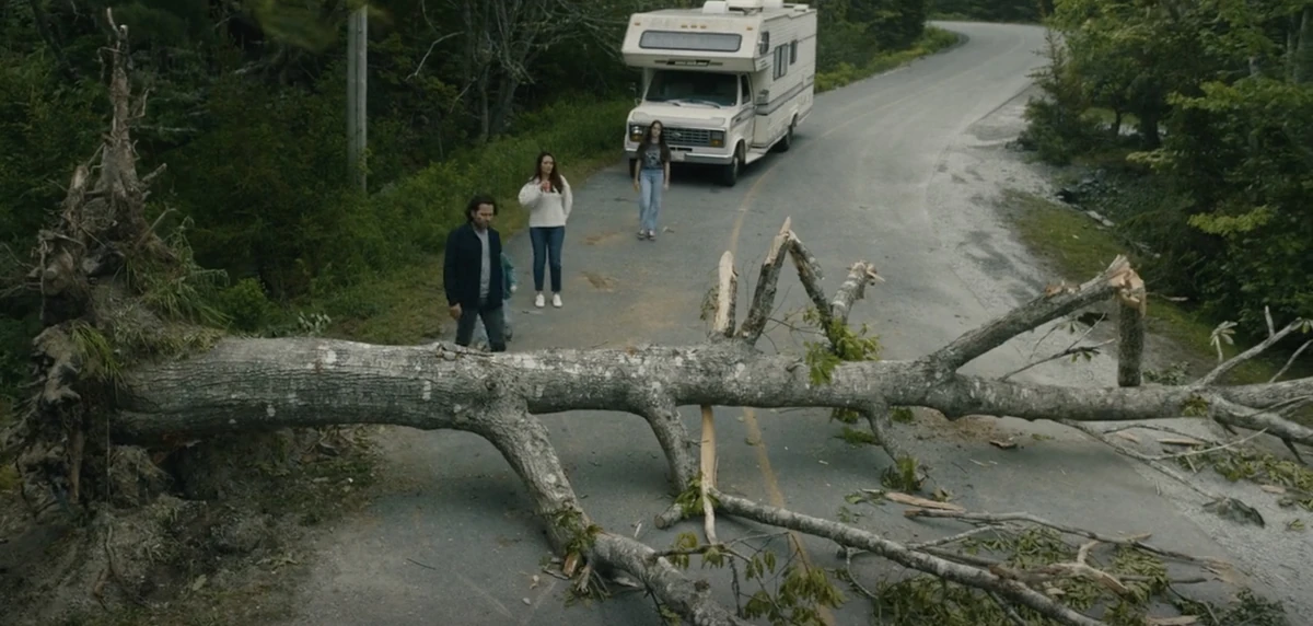 Fallen Tree | From Wiki | Fandom