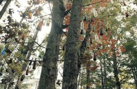 Bottle Tree