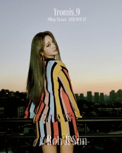 fromis_9 スローガン fromis_9(プロミスナイン・プミナ) 約束会 スローガン 出品