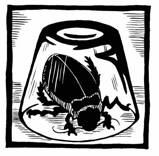 A bussola de ouro capitulo 9