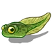 Tadpole-icon
