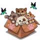 Box of Kitten-icon