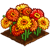 Gerbera Daisies-icon