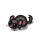 Black Chinchilla