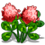 Red Clover-icon
