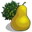 Pear Tree-icon